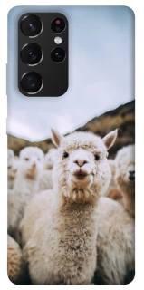 Чохол на Samsung Galaxy S21 Ultra Лама фото 1 з 1