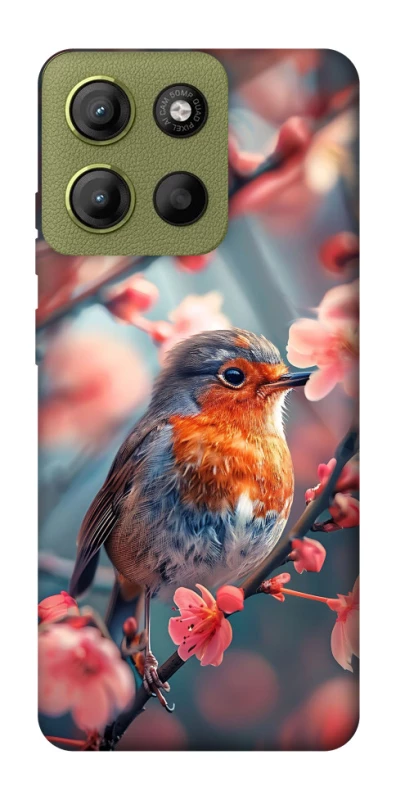 Чохол на Motorola Moto G15 4G Birdie фото 1 з 1