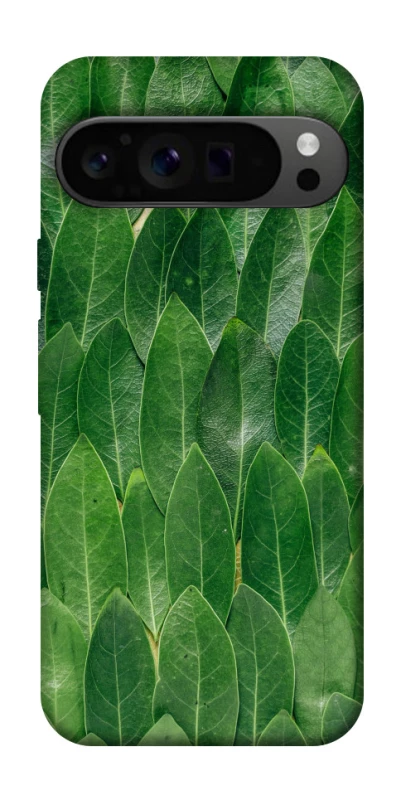 Чохол на Google Pixel 9 Pro Листя фото 1 з 1