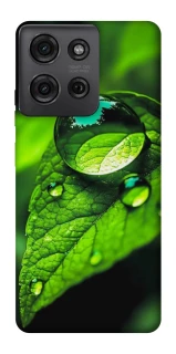 Чохол на Motorola Moto G75 Flowers v16 фото 1 з 1