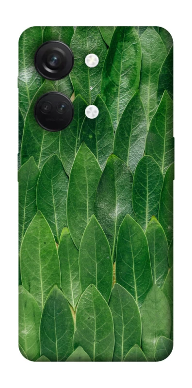 Чехол на OnePlus Nord 3 Листья фото 1 из 1