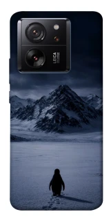 Чехол на Xiaomi 13T But why? фото 1 из 1