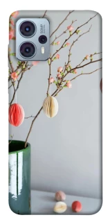 Чехол на Motorola Moto G23 Chicks фото 1 из 1