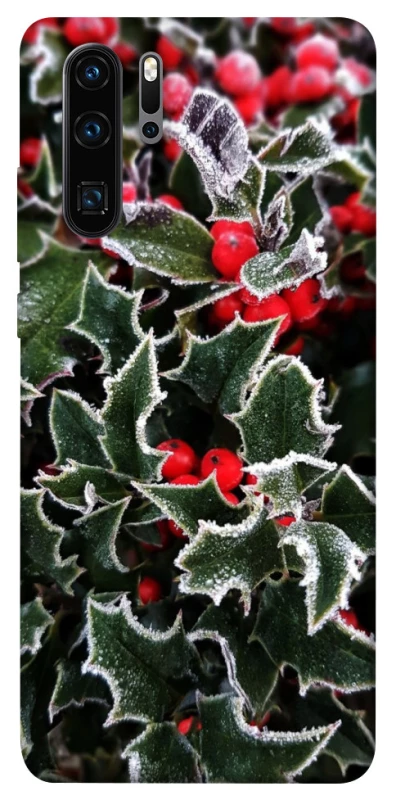 Чохол на Huawei P30 Pro Новорічний v32 фото 1 з 1