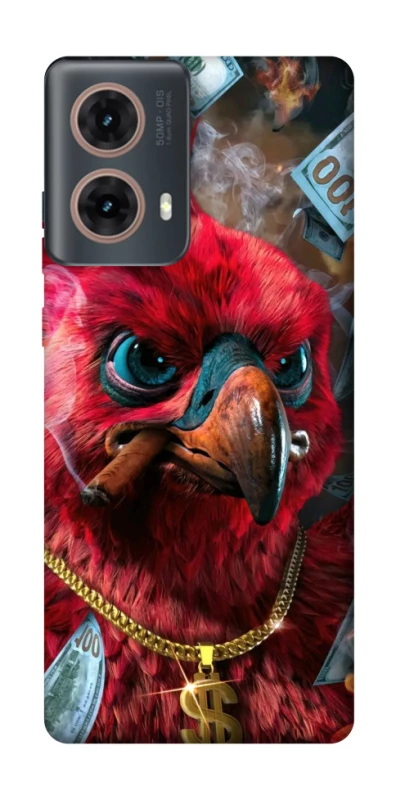 Чехол на Motorola Moto G85 Попугай фото 1 из 1