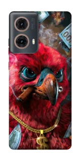 Чохол на Motorola Moto G85 Папуга фото 1 з 1