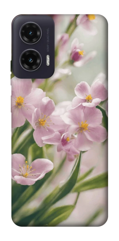 Чохол на Motorola Moto G35 Spring фото 1 з 1