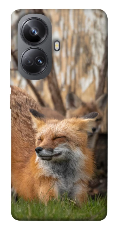 Чехол на Realme 10 Pro+ Лиса фото 1 из 1