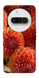 Чехол на Nothing Phone (3a) Flower1 фото 1 из 1