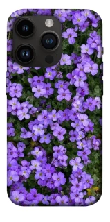 Чохол на Apple iPhone 14 Pro (6.1") Flowers v17 фото 1 з 1