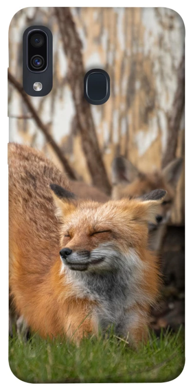 Чехол на Samsung Galaxy A20 / A30 Лиса фото 1 из 1