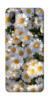 Чехол на ZTE Axon 10 Pro Поле ромашек фото 1 из 1