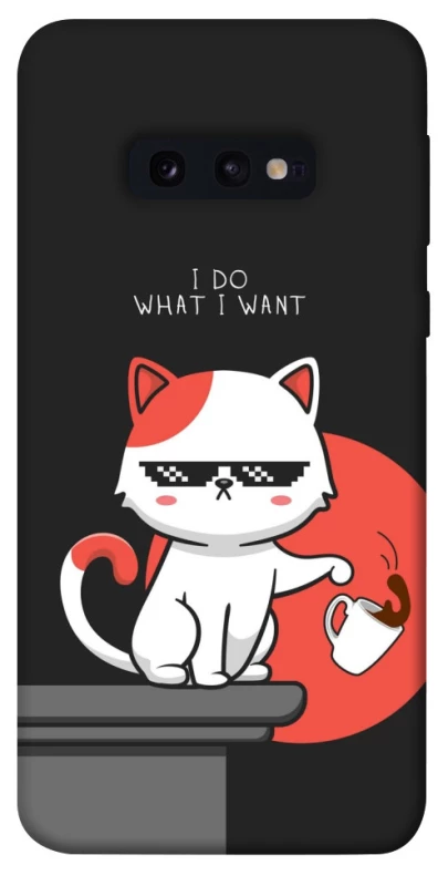 Чохол на Samsung Galaxy S10e I do what i wont фото 1 з 1