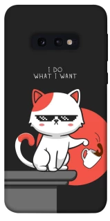 Чохол на Samsung Galaxy S10e I do what i wont фото 1 з 1