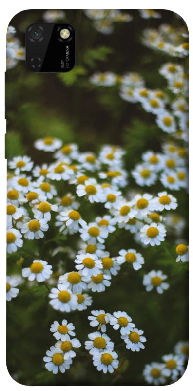 Чехол на Huawei Y5p Ромашки v13 фото 1 из 1