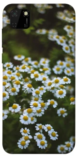 Чехол на Huawei Y5p Ромашки v13 фото 1 из 1
