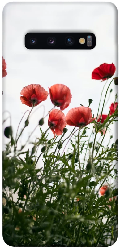Чохол на Samsung Galaxy S10+ Поле маків фото 1 з 1