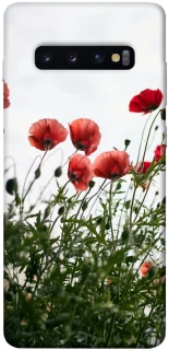 Чохол на Samsung Galaxy S10+ Поле маків фото 1 з 1