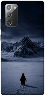 Чехол на Samsung Galaxy Note 20 But why? фото 1 из 1