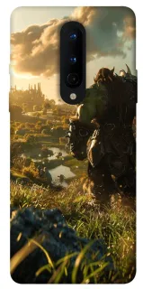 Чехол на OnePlus 8 Orc фото 1 из 1