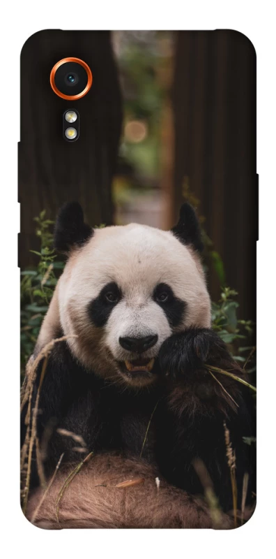 Чохол на Samsung Galaxy Xcover7 Панда фото 1 з 1