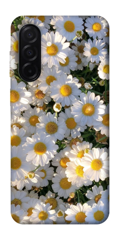 Чохол на Samsung Galaxy A26 5G Поле ромашок фото 1 з 1