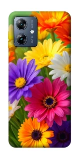 Чохол на Motorola Moto G54 Power Flowers v32 фото 1 з 1