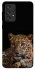 Чохол на Samsung Galaxy A33 5G Leopard v4 фото 1 з 1