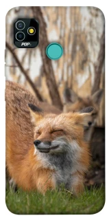 Чехол на TECNO POP 5 Лиса фото 1 из 1