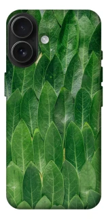 Чехол на Apple iPhone 17 (6.3") Листья фото 1 из 1