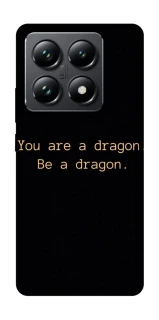 Чехол на Xiaomi 14T Pro House of the Dragon ver.9 фото 1 из 1