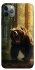 Чохол на Apple iPhone 11 Pro Max (6.5") Bear V3 фото 1 з 1