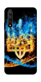 Чохол на Huawei Honor 20 / Nova 5T Герб v16 фото 1 з 1