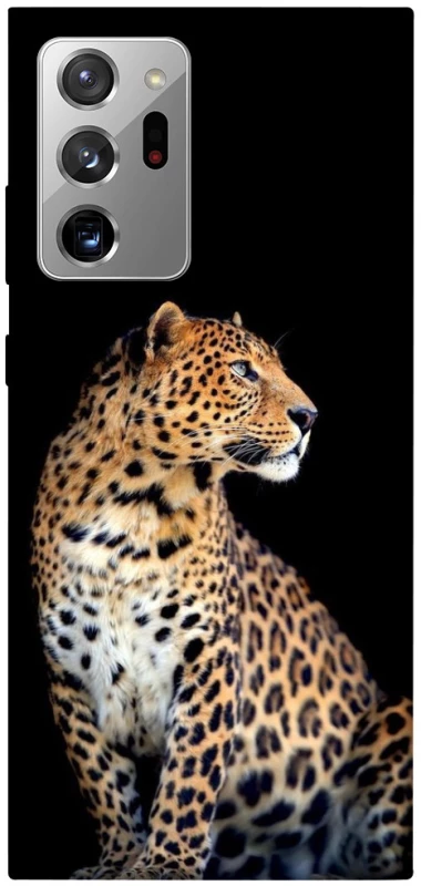 Чохол на Samsung Galaxy Note 20 Ultra Leopard v2 фото 1 з 1