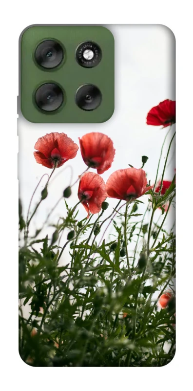 Чохол на Motorola Moto G56 5G Поле маків фото 1 з 1