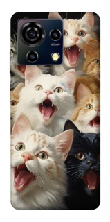 Чохол на ZTE Blade V50 Vita Коти фото 1 з 1