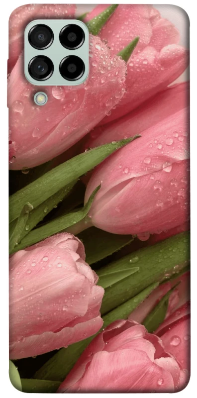 Чохол на Samsung Galaxy M53 5G Beauty фото 1 з 1