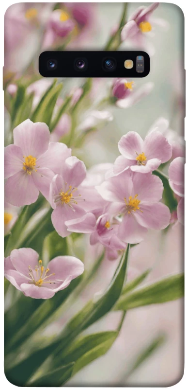 Чохол на Samsung Galaxy S10+ Spring фото 1 з 1