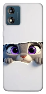 Чехол на Motorola Moto E13 Zootopia фото 1 из 1