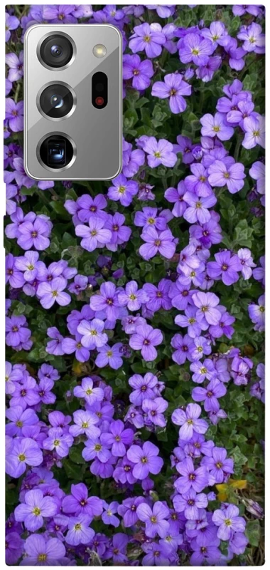 Чехол на Samsung Galaxy Note 20 Ultra Flowers v17 фото 1 из 1