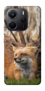 Чехол на Xiaomi Redmi Note 14 4G (Europe version) Лиса фото 1 из 1