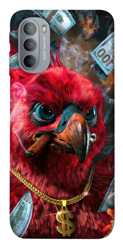 Чохол на Motorola Moto G31 Папуга фото 1 з 1