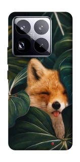Чехол на Xiaomi 15 Pro Fox фото 1 из 1