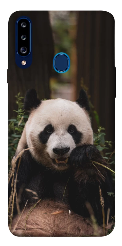 Чохол на Samsung Galaxy A20s Панда фото 1 з 1