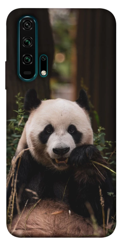 Чохол на Huawei Honor 20 Pro Панда фото 1 з 1