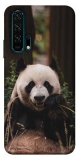 Чохол на Huawei Honor 20 Pro Панда фото 1 з 1