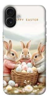 Чехол на Apple iPhone 16 Plus BunnyMood фото 1 из 1