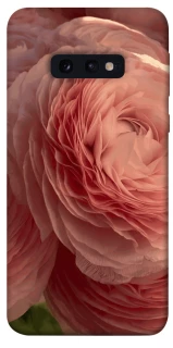 Чохол на Samsung Galaxy S10e Elegance фото 1 з 1