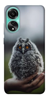 Чохол на Oppo A78 4G Совеня фото 1 з 1