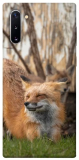 Чехол на Samsung Galaxy Note 10 Лиса фото 1 из 1